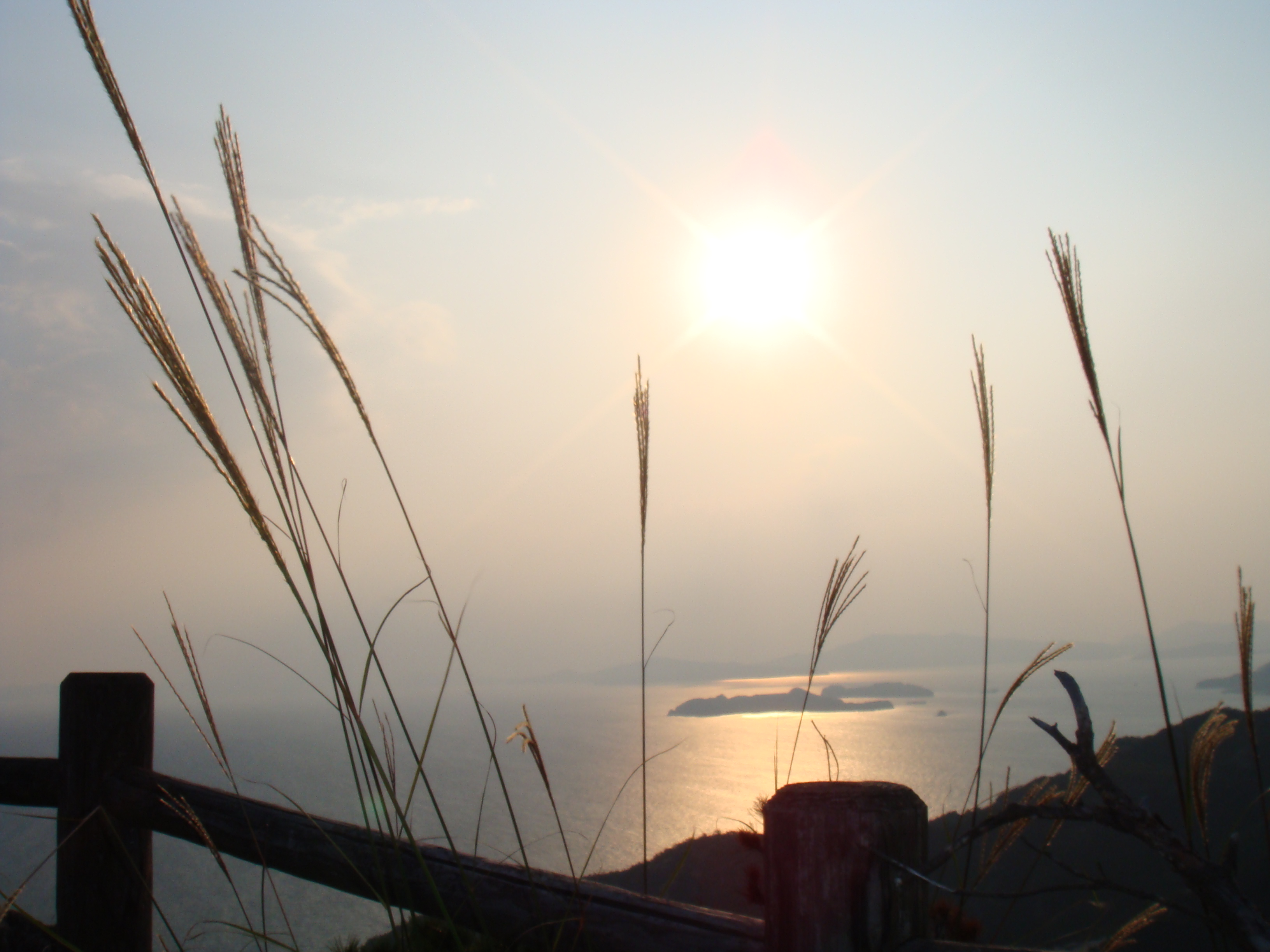 宮島