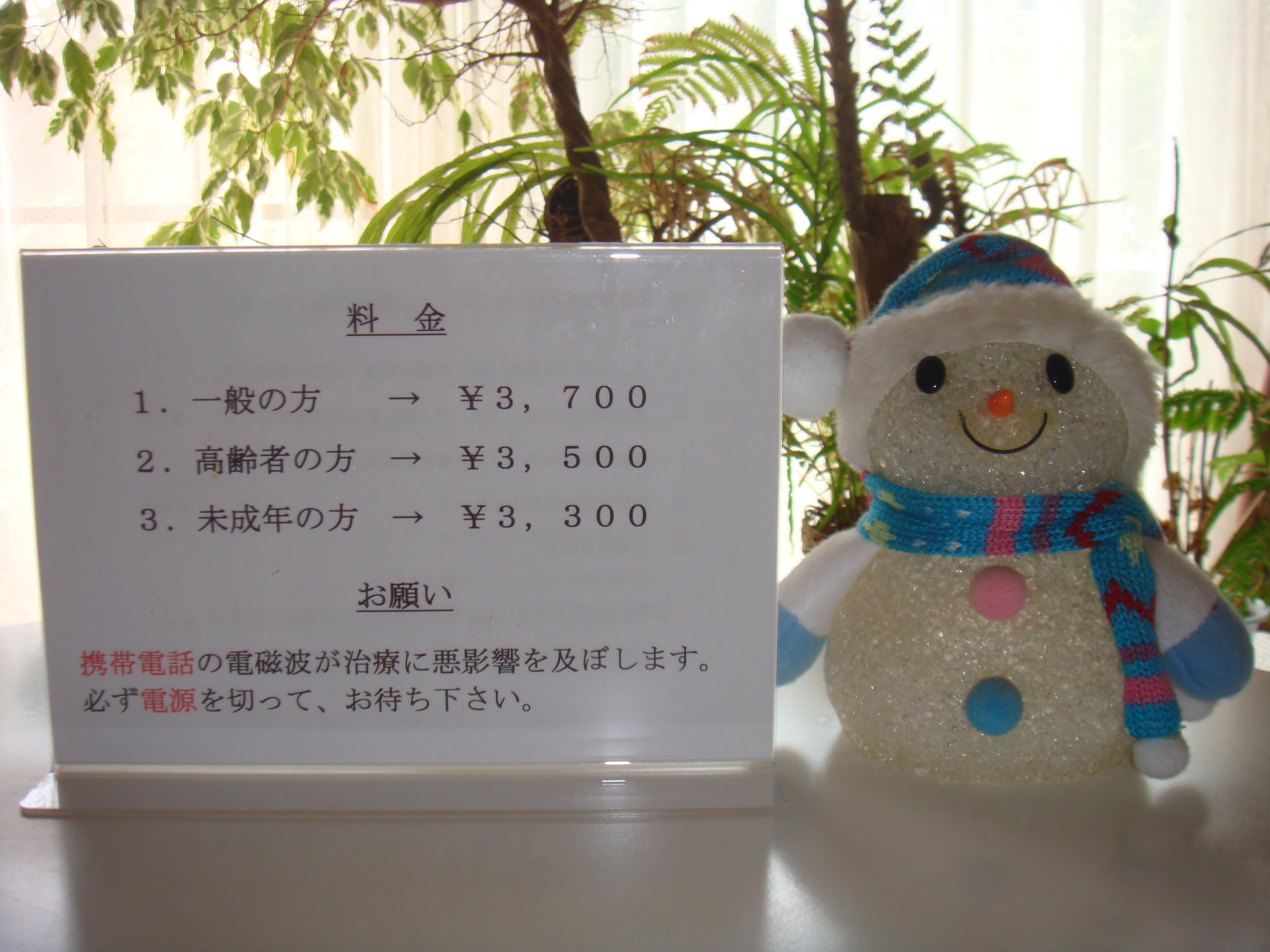 料金