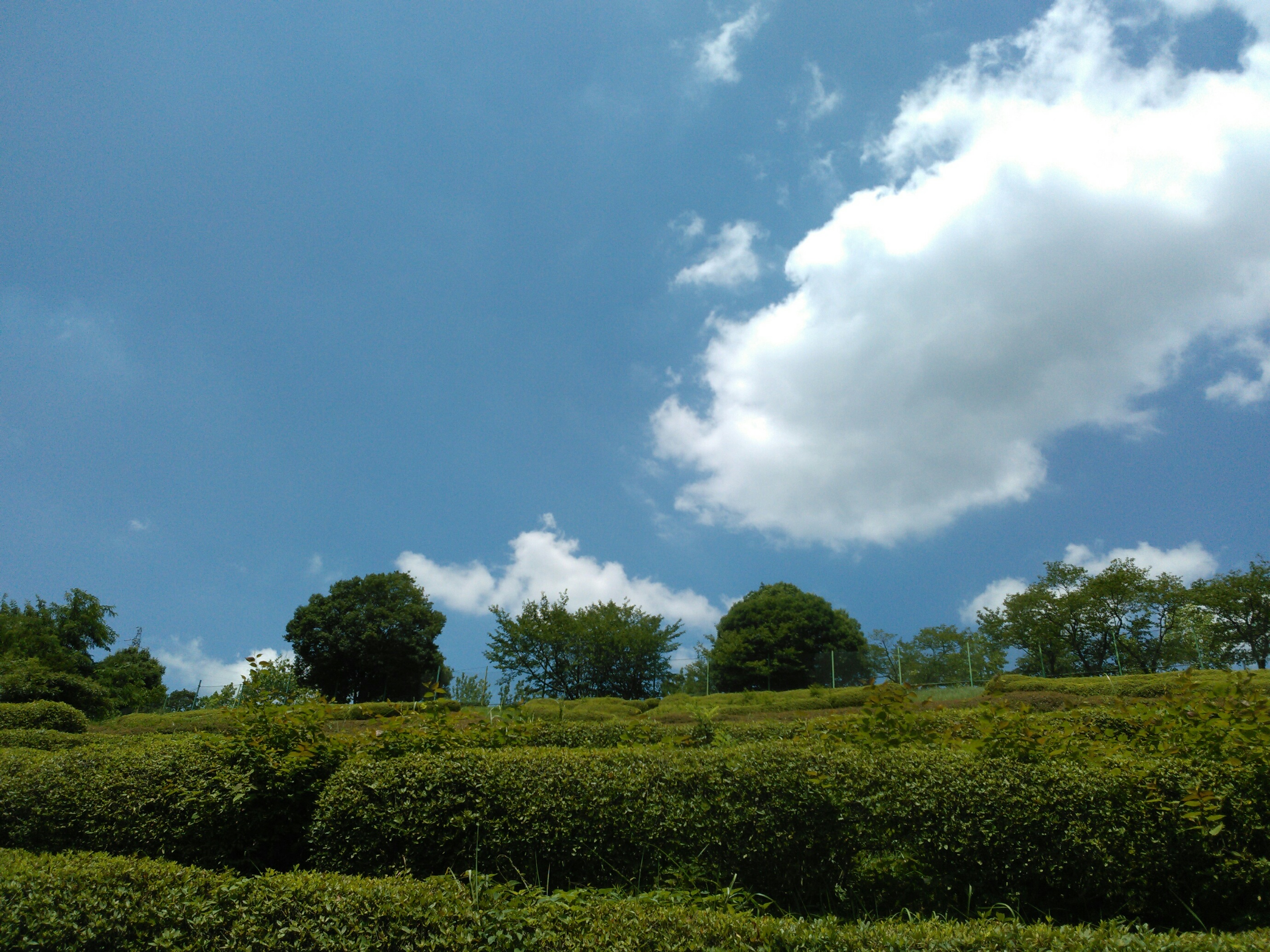 宮島